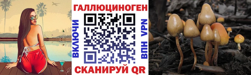 Псилоцибиновые грибы Cubensis  наркотики  МЕГА сайт  Прохладный 